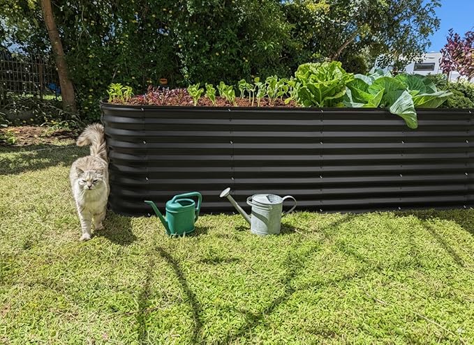 Plant & Plot Galvanized Raised Garden Beds Outdoor // 8×2×2 ft Planter Raised Beds for Gardening, Vegetables, Flowers // Large Metal Garden Box (Black) // Patented Tool-Free Design