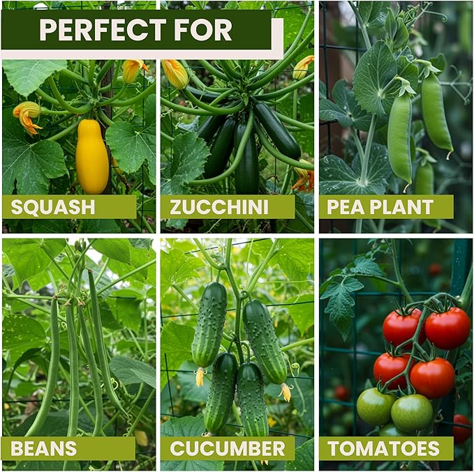 50x50 Cucumber Trellis for Raised Bed - A Frame Garden Trellis for Climbing Plants Outdoor - Cucumbers, Pea, Zucchini, Squash,Tomato, Green Bean, Vine, Watermelon, Melon, Pumpkin