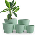 Utopia Home - Spotty Plant Pots Indoor with Drainage - 7/6.6/6/5.3/4.8 Inches Flower Pots - 5 Pack Plastic Planters - Ideal for Stocking Stuffers - (Speckled Mint, Pack of 5)