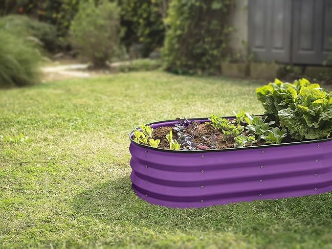 Plant & Plot Galvanized Raised Garden Beds Outdoor // 4×2×1 ft Planter Raised Beds for Gardening, Vegetables, Flowers (Purple) // Large Metal Garden Box