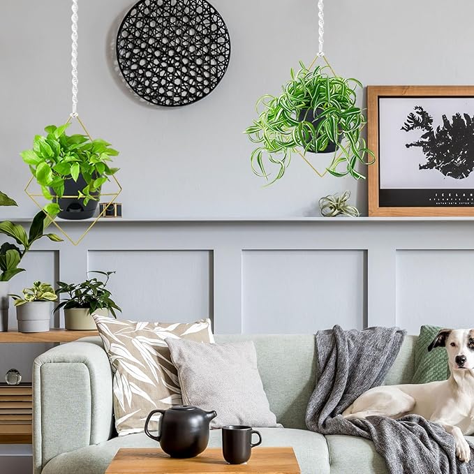 Hanging Planters for Indoor Plants, 2 Set Self Watering Hanging Flower Pots, Modern Hanging Plant Baskets with Metal Plant Holder & 6.5 Inch Plastic Pots for Garden Home Decor (Gold Frame Black Pot)