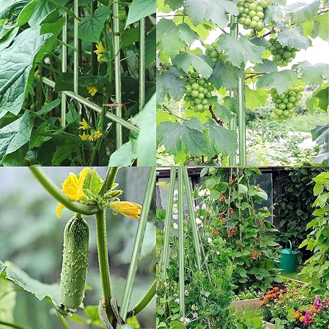 7Feet Garden Stakes Sturdy Plant Sticks Support Tomato Stakes for Vegetable Pack of 20