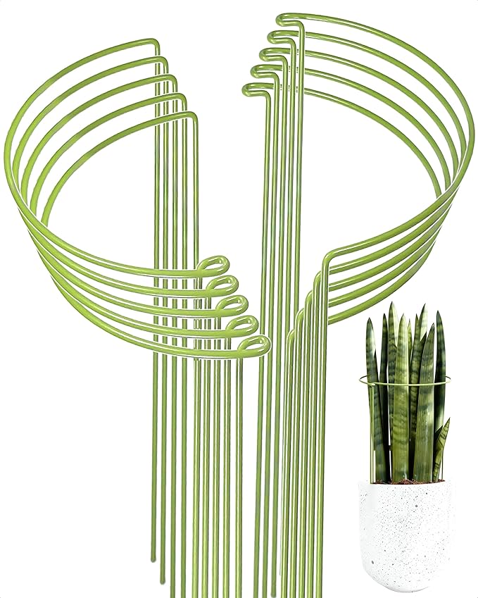 10-Pack Plant Support Stakes, Heavy Duty Steel Plant Stakes as Monstera Plant Support & Peony Cages, Metal Garden Stakes for Indoor Outdoor Plants, Snake Plant & Vine Support, 10" W x 15.8" H