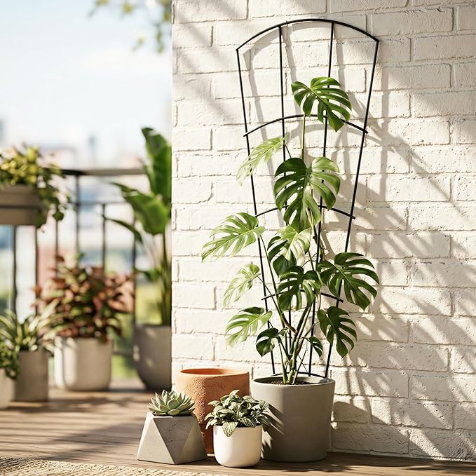 4 Pack 56'' Indoor Plant Trellis for Potted Plants Climbing Outdoor Metal Garden Trellis Houseplants Flowers Vine Ivy,Fan Shape, Black