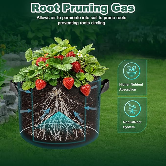 5 Pack 5 Gallon Grow Bags, Thickened Aeration Nonwoven Fabric Plant Pots with Handles, Heavy Duty 300G Garden Planting Bag for Tomato, Potato, Strawberry, Vegetable, Fruits and Flowers