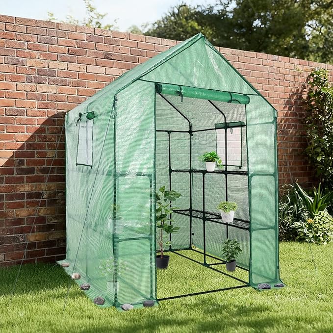Aoodor Walk-in Greenhouse with 8 Shelves, 4.7 × 4.7 × 6.4 ft Outdoor Garden Plant House with PE Cover for Growing Vegetables, Flowers, Herbs