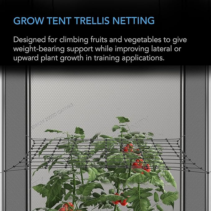 AC Infinity Grow Tent Trellis Netting 2x2', Heavy-Duty Elastic Plant Net with Steel Hooks, Flexible Hydroponics Support for Grow Tents, Gardening, and Horticulture