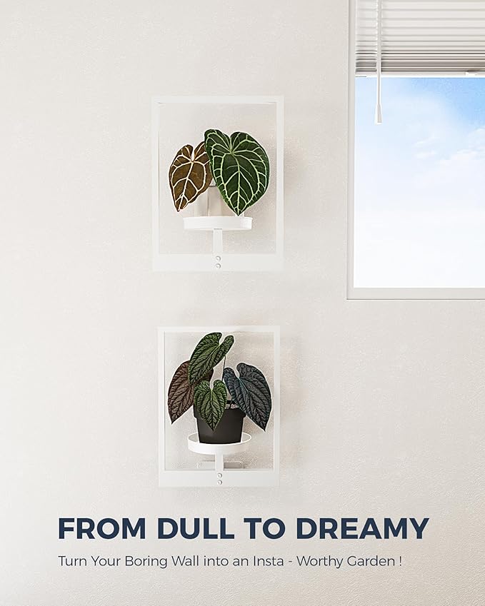 Bamworld White Plant Stand Indoor, Plant Hanger Wall Planters for Indoor Plants Window Plant Shelves Plant Holder Wall Decor, Room Decor (Patent Design)