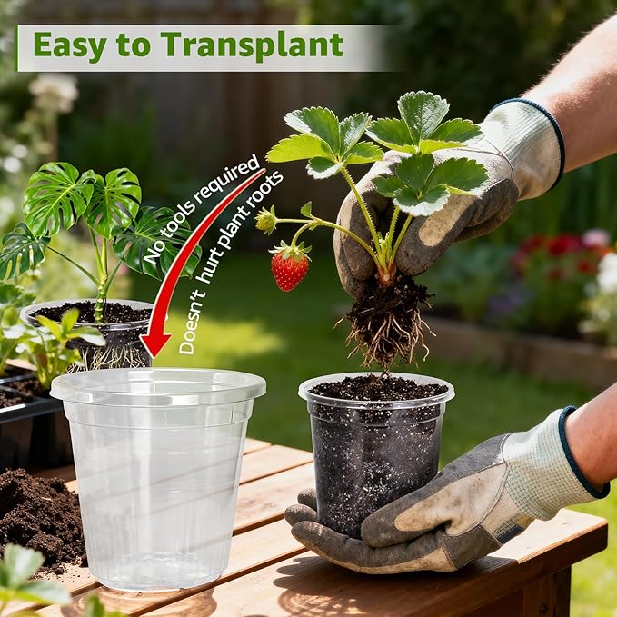 MIXC Clear Nursery Pots with Drainage Holes, 7/5/4/3.5 Inch Reinforced Transparent Plastic Seed Starter Pots, for Indoor Outdoor Gardening Seedling Planter, 36 Pack