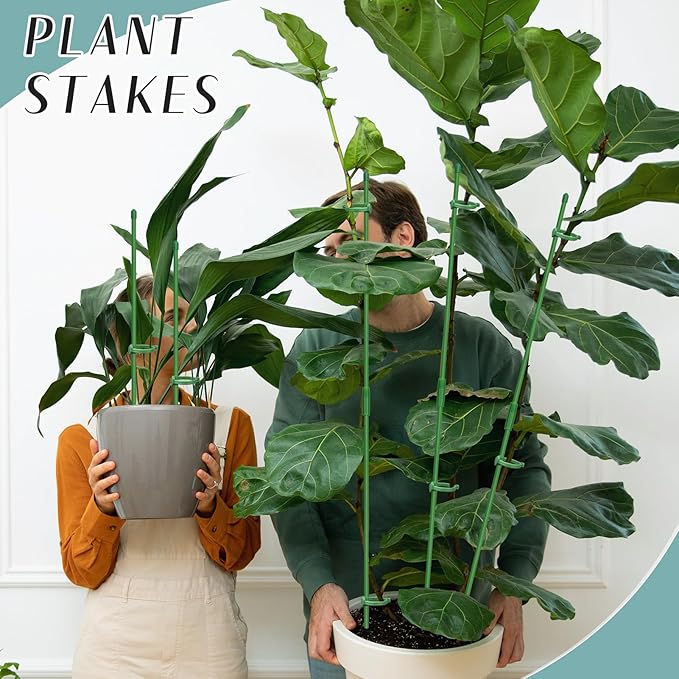 Plant Stakes, 20 Pcs Plant Sticks Stakes Support, Garden Stake Pole with Clips, Adjustable Plant Support with 20 Rings and 10 Connectors for Indoor and Outdoor Plants