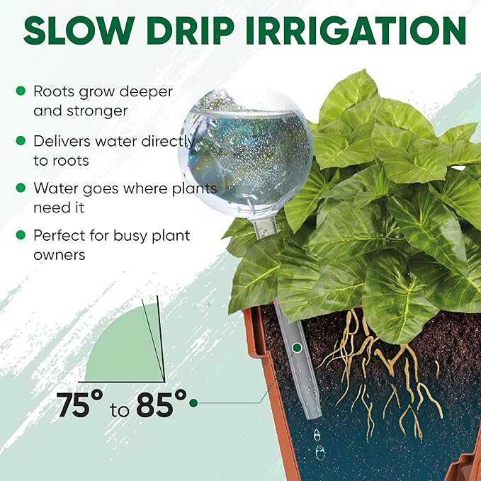 Clear Plant Watering Globes Set of 6 - Large Self Watering Globes for Indoor & Outdoor Plants - Automatic, Glass Watering Bulbs for Daily Use, Plant Watering Devices
