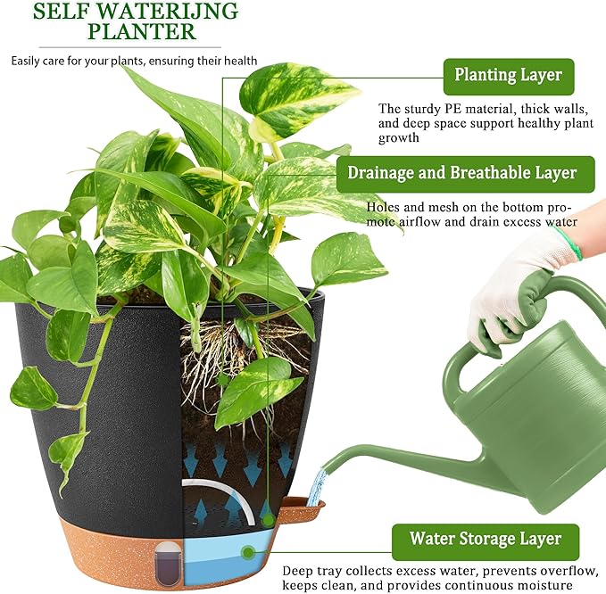 2 Pack 8 Inch Pots for Plants Indoor, Plastic Self Watering Planters with Drainage Holes, Water Level Indicator & Deep Reservoir, Decorative Flower Pots Indoor Outdoor Use (Black