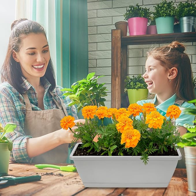 Window Box Planter, 6 Packs 17 Inches Rectangle Planters Box with Drainage Holes and Trays, Vegetable Planters for Windowsill Patio Garden Home Decor Porch Yard Light Gray