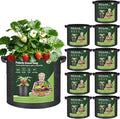 T4U 5 Gallon Grow Bags, Upgrade Grow Bags with Handles, Heavy Duty Thickened Nonwoven Fabric Pots, 5 Gallon Pots for Plants, Strawberry, Cherry Tomatoes (10 Pack)