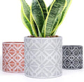 Plant Pots, Set of Indoor Plant pots, Plastic Planter with Drainage and Saucer, Modern Distinctive Self Watering Plant Pot, Spray Spots (Indoor Plant Pots)