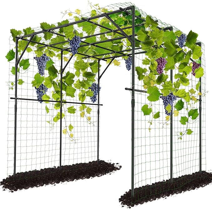 DoCred Tall Garden Arch Trellis for Climbing Plants, 79 Inch Tall Metal Plant Support Trellis Archway for Climbing Vine Vegetable/Fruit/Flower Outdoor Yard Lawn Garden Arch Tunnel Trellis