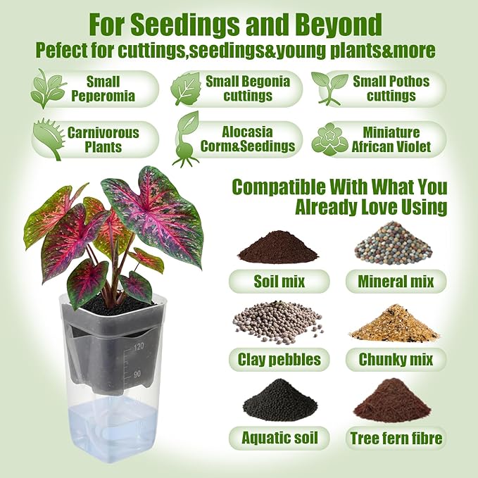 LemonRoad 20 Pack 2" Small Self Watering Pots for Indoor Plants with 20 Plant Label Mini Clear Plastic Planters with Water Level and Drainage Holes for Propagation, Succulents, and African Violet