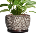 SQOWL Ceramic Planter - 8 inch Plant Pot Indoor with Drainage Hole and Plant Saucer, Round Ceramic Flower Pots Outdoor, Decorative Modern Planter, Office Kitchen Decor, Gifts for Women Men, White