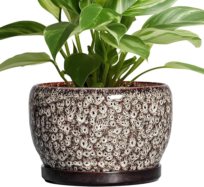 SQOWL Ceramic Planter - 8 inch Plant Pot Indoor with Drainage Hole and Plant Saucer, Round Ceramic Flower Pots Outdoor, Decorative Modern Planter, Office Kitchen Decor, Gifts for Women Men, White