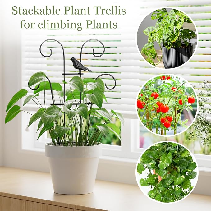 Indoor Plant Trellis for Climbing Plants, Stackable Garden Trellis for Potted Plants, Small House Plant Trellis for Vine Ivy Flower Plant Support Outdoor DIY Metal Trellis 3 Pack, Bird Design