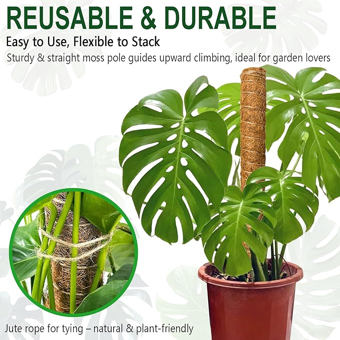Soupiar 2 Pack 22 Inch Stackable Moss Pole - Thick & Sturdy Natural Coir Totem Plant Support & Garden Stakes for Monstera & Pothos, Indoor Climbing Vining Houseplants, 38”H Max