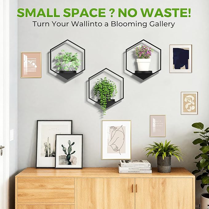Wall Planters for Indoor Plants, Plant Frames Wall Decor Living Room Plant Stand Hanging Wall Plants Holder to Hold Large Pots Wall Plant Hanger Window Plant Shelves for Outdoor Entryway