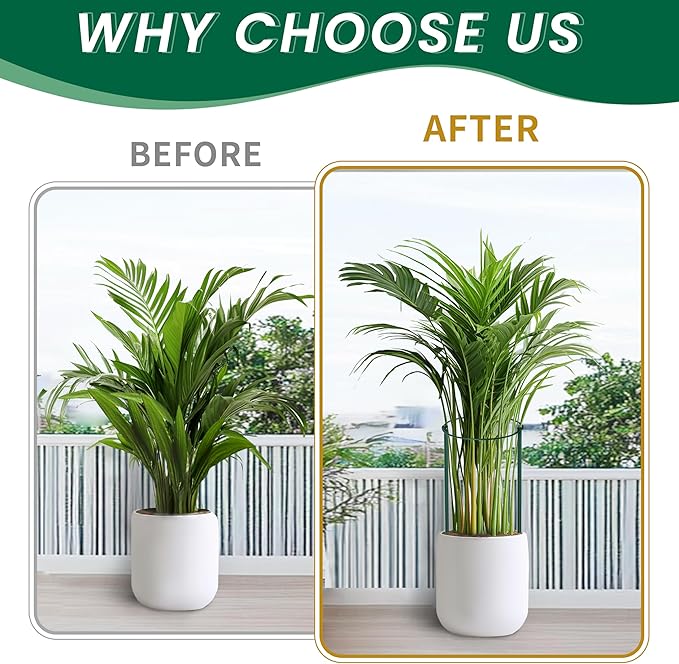 TCBWFY 10 Pack Plant Support Stakes for Peony,10"Widex24"High Heavy Duty 4.5mm Peony Cages and Support,Metal Peony Supports for Outdoor Indoor Plants,Plant Supports for Peony