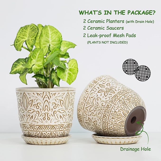 Gepege 6 Inch White Ceramic Planter, Plant Pot with Drainage Holes and Saucers for Indoor Plants, Birthday for Women Mom