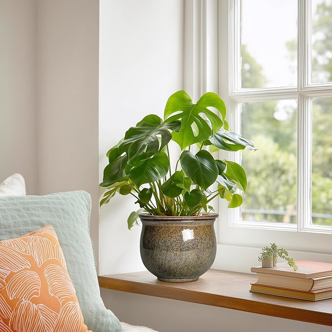 Self Watering Planters for Indoor Plants, 6 Inch Ceramic African Violet Pots with Absorbent Inner Pot, Ceramic Plant Pot, Round Flower Pots, Bathroom Decor, Housewarming Gifts, Yellowish Brown