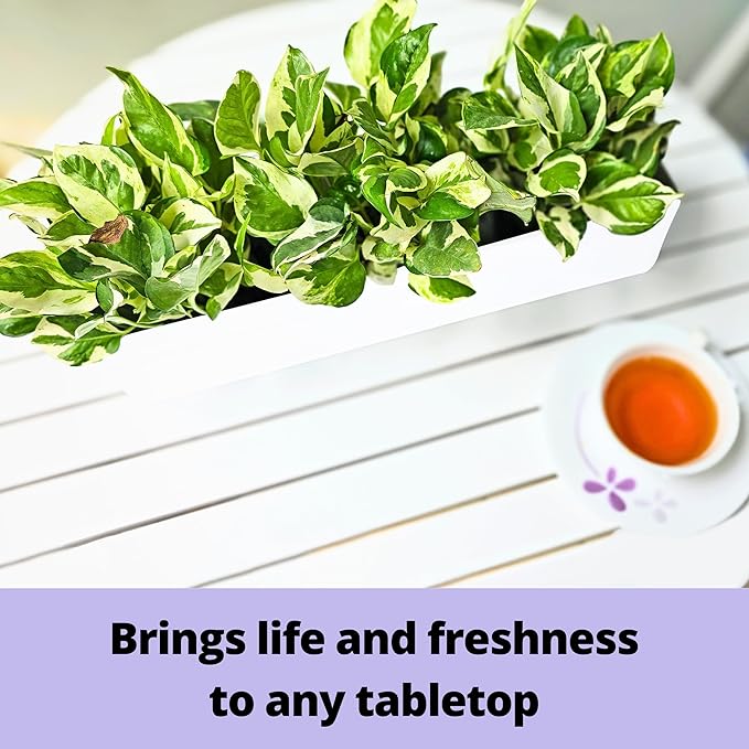 LaLaGreen Wall Planter (16 Inch, 2 Pack) Carbon Steel White Metal Hanging Flower Pot for Succulents, Wall Mount Rectangular Window Sill Box Fence Floating Garden Shelf for Deck Indoor Outdoor Decor