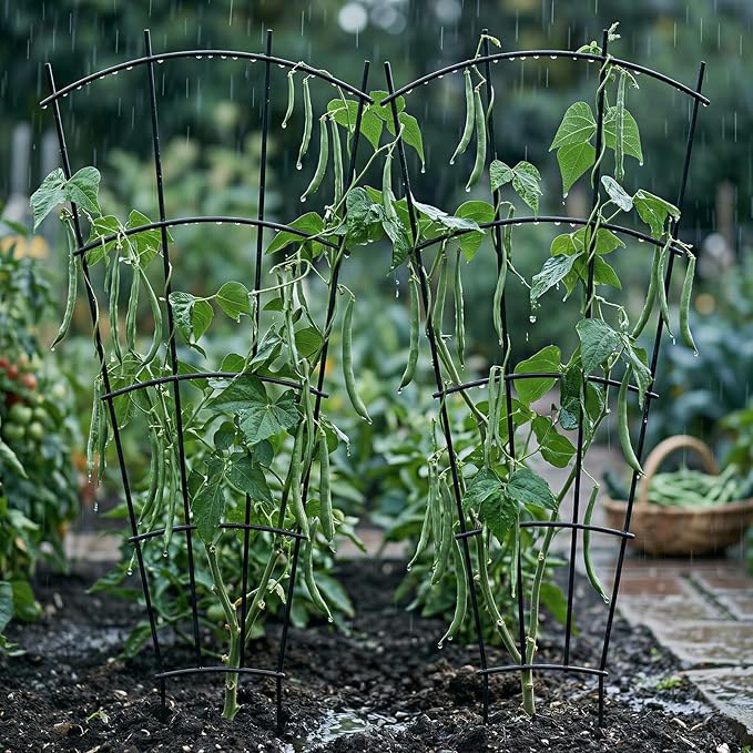 4 Pack 43'' Indoor Plant Trellis for Potted Plants Climbing Outdoor Metal Garden Trellis Houseplants Flowers Vine Ivy,Fan Shape, Black