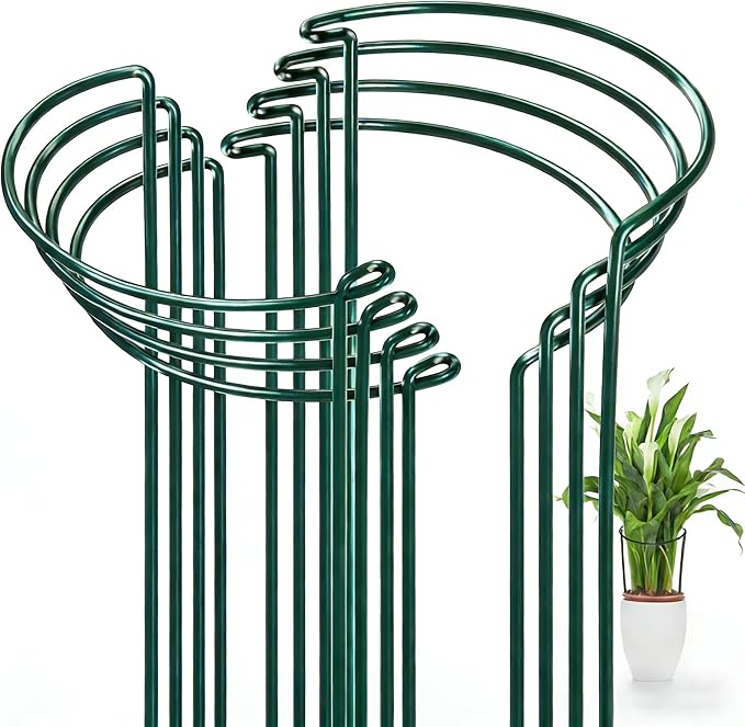 FEED GARDEN 8 Pack Plant Support Stakes, Peony Cages and Supports, Metal Garden Plant Stake(10" Wide x 16" High) Green Half Round Plant Support Rings for Outdoor Indoor Plants, Tomato, Hydrangea