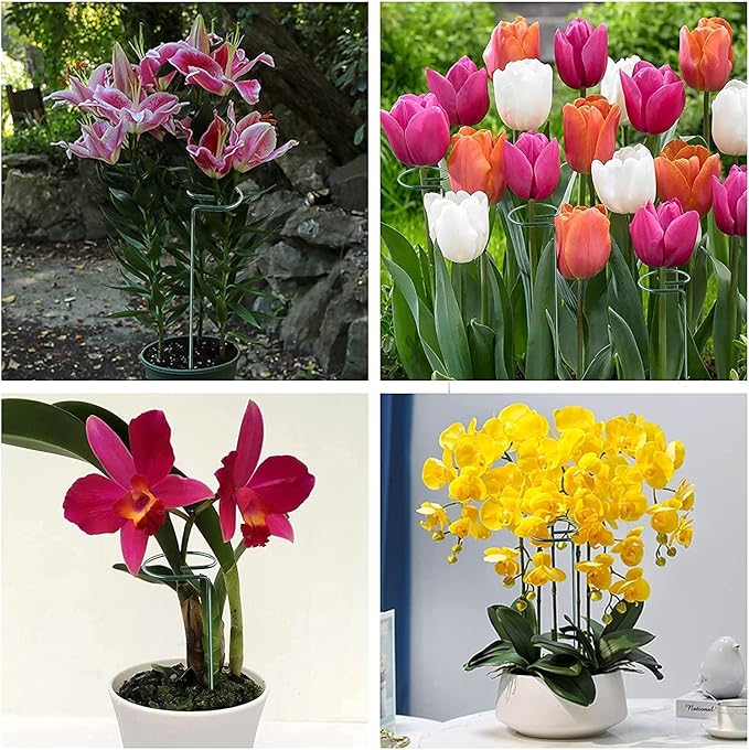 Joyhalo 20 Pack Plant Support Stakes 36 Inches, Plant Stakes, Flower Stakes with 24 Twist Ties, Garden Sticks for Plants Hibiscus, Sunflower, Red Hot Poker, Hydrangea, Tomato, Sapling Etc