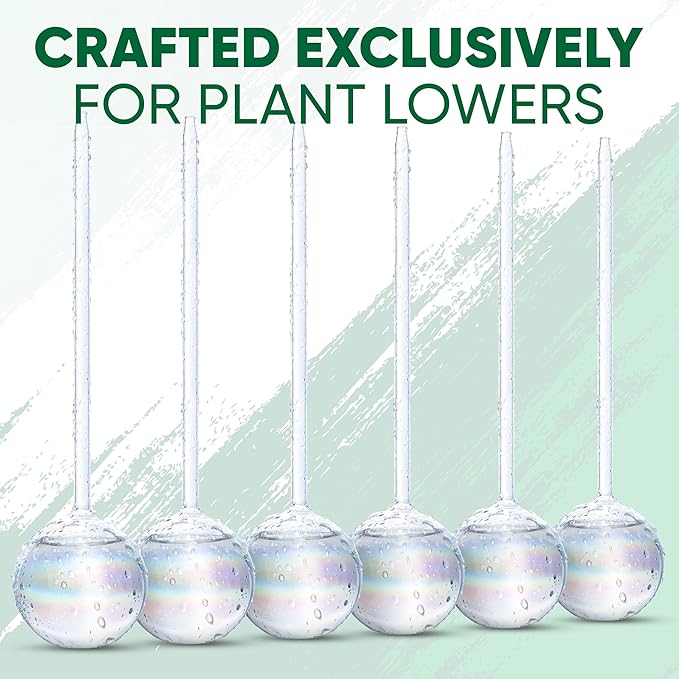 Clear Plant Watering Globes Set of 6 - Large Self Watering Globes for Indoor & Outdoor Plants - Automatic, Glass Watering Bulbs for Daily Use, Plant Watering Devices