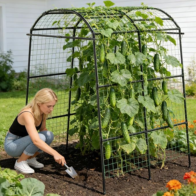 Miory Garden Arch Trellis for Climbing Plants Outdoor, Metal Plants Support Trellis for Climbing Vine Tomato Vegetable Flower Fruit, Cucumber Trellis for Raised Bed (71 x 83 Inch)