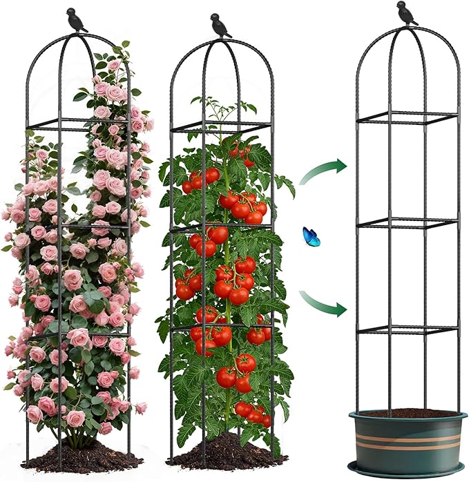 Square Tomato Cages for Garden, 6.2 FT Cucumber Trellis for Flowers, Grape, Pea, Rose, Bean, Rustproof Plastic Coated Metal Plant Support for Potted Plants Indoor Outdoor - 2PC Obelisk Trellis