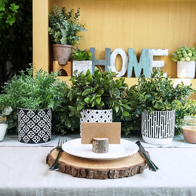 Winlyn 3-Pack Artificial Potted Plants - Faux Eucalyptus, Rosemary, Boxwood Greenery in Small Black & White Geometric Concrete Pots -Desk, Table, Shelf, Windowsill Decor for Indoor Outdoor Home Office