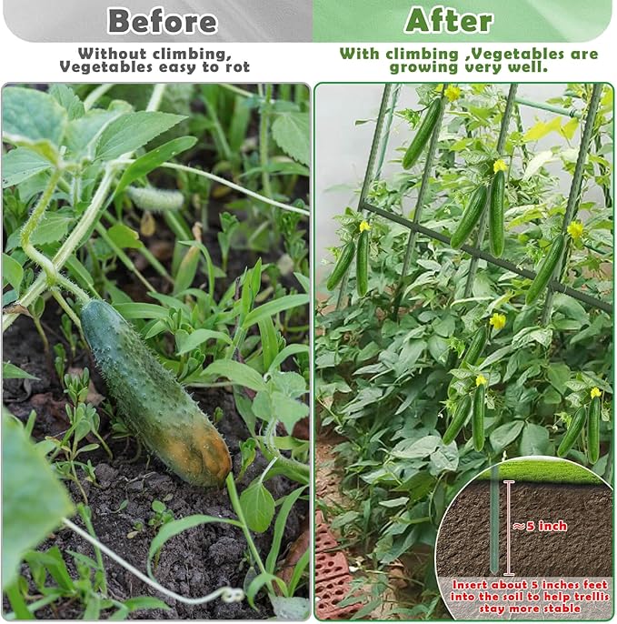 Cucumber Trellis for Raised Bed, Large Size Garden Arch Trellis for Climbing Plants Outdoor, Metal Garden Trellis for Spring Vegetables, Cucumber Trelli for Tomato, Bean, Pea, Grape, Plant
