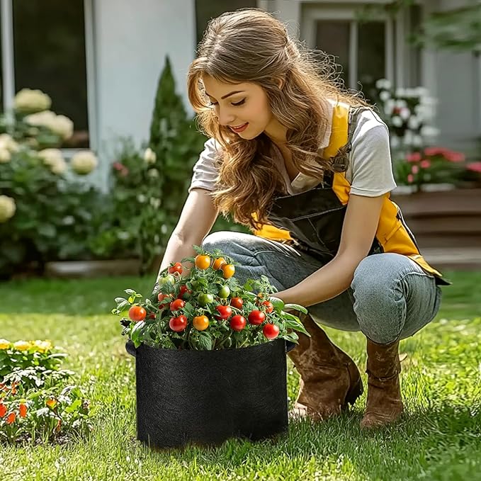 T4U 5 Gallon Grow Bags, Upgrade Grow Bags with Handles, Heavy Duty Thickened Nonwoven Fabric Pots, 5 Gallon Pots for Plants, Strawberry, Cherry Tomatoes (5 Pack)