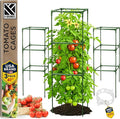 Tomato Cage Square - Large Trellis Stakes and Plant Support Structures for Vegetables and Climbing Plants - Tall Tomato Cages for Garden, Pots, Raised Garden Bed Outdoor Supplies (3 Pack - Up to 41")