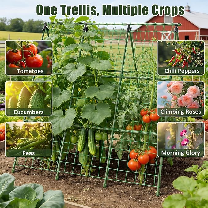 Miory Cucumber Trellis for Raised Beds, 48 x 48 Inch Metal A-Frame Garden Trellis for Climbing Plants Outdoor with Climbing Net, Plant Support for Cucumber Tomato Bean Pea
