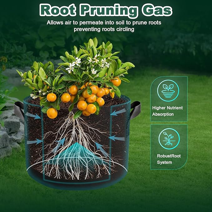 5 Pack 15 Gallon Grow Bags, Thickened Aeration Nonwoven Fabric Planting Bags with Handles, Heavy Duty 300G Garden Planter Bag for Tomato, Potato, Strawberry, Vegetable, Fruits and Flowers