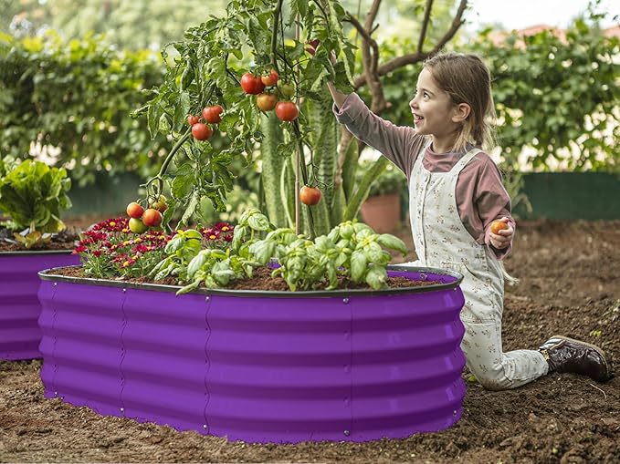 Plant & Plot Galvanized Raised Garden Beds Outdoor // 4×2×1 ft Planter Raised Beds for Gardening, Vegetables, Flowers // Large Metal Garden Box (Purple) // Patented Tool-Free Design