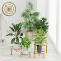 5 Pack Plant Stand Indoor Outdoor, Flower Pot Stand Plant Rack for Home Courtyard Gardens, Round Metal Corner Plant Stand for Flower Holder for Multiple Plants