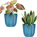 QCQHDU 2 Pack Self Watering Pots, 7.2 Inch Flower Pots with Drainage Holes and Water Filling Port, Garden Planter for Indoor Outdoor Plants (Klein Blue)