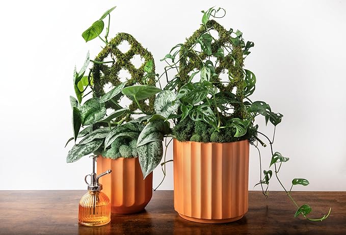 SuperMoss Plant Trellis - Decorative Garden Trellis for Climbing Plants Indoor & Outdoor | Moss-Covered Plant Support for Raised Garden Bed, Patio, Planters, and Garden Decor, Mini 17" X 6.5", Diamond