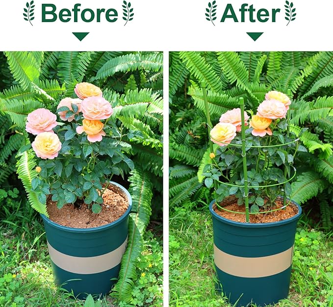 LEOBRO 4 PCS Plant Support Cages, Tomato Cages, Metal Garden Plant Support Ring, Plant Trellis, Plant Stakes for Tomato, Climbing Plant, Flower, Seedlings, 17.7" High, 7.1"/7.87"/8.66" Inner Diameter