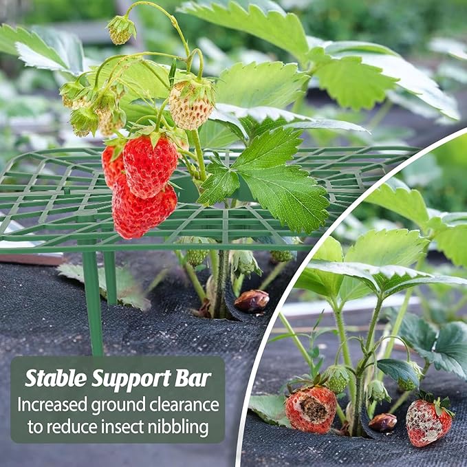 4 Sets Strawberry Plant Support with Mesh Plant Cover,Strawberry Growing Racks Sets with Iron Plant Nails and Storage Bag for Garden Strawberry Vegetables(Green Net - Square)