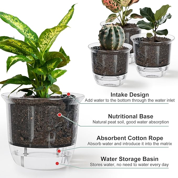 Plant Pots 6 inch Set of 3, Self Watering Pots for Indoor Outdoor Plants Flowers, Self Watering Planters with Reservoir, Drainage Hole and Absorbent Cotton Rope (3 Large)