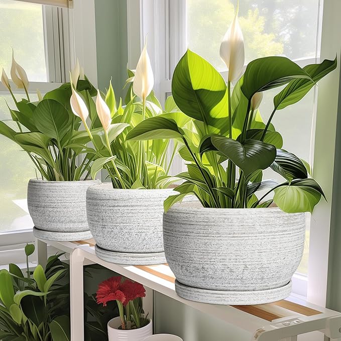 SQOWL Ceramic Planters for Indoor Plants - 6 Inch Plant Pot with Drainage Hole and Saucer, Small Ceramic Flower Pot, Round Decorative Planter Outdoor, Living Room Decor, Garden Gifts for Women, Gray